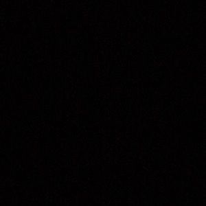 Meet your Posher, Pat